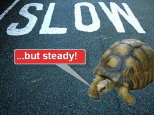 a tortosie is low but steady